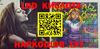 молекула духа Нальчик