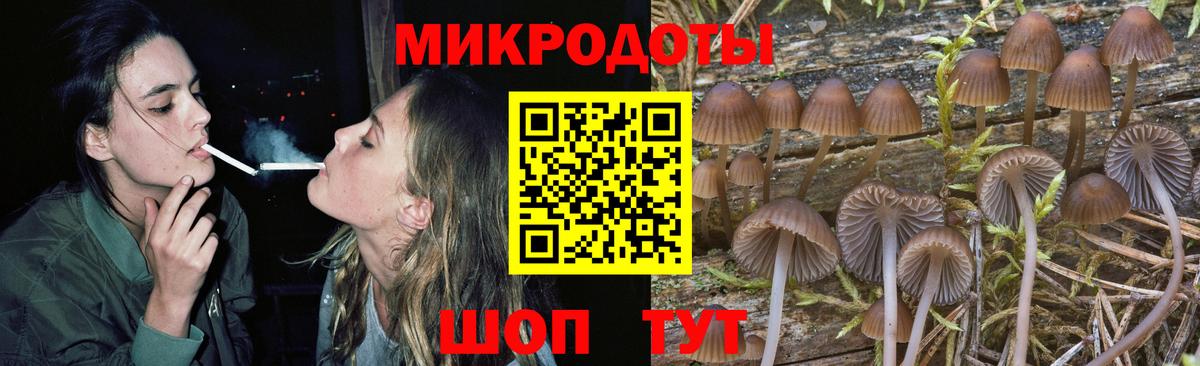 Галлюциногенные грибы мухоморы Ухта